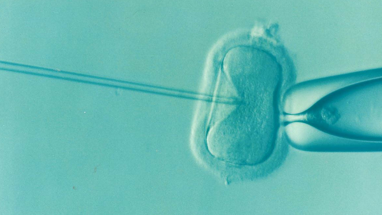 IVF Treatment Doctor in Mumbai