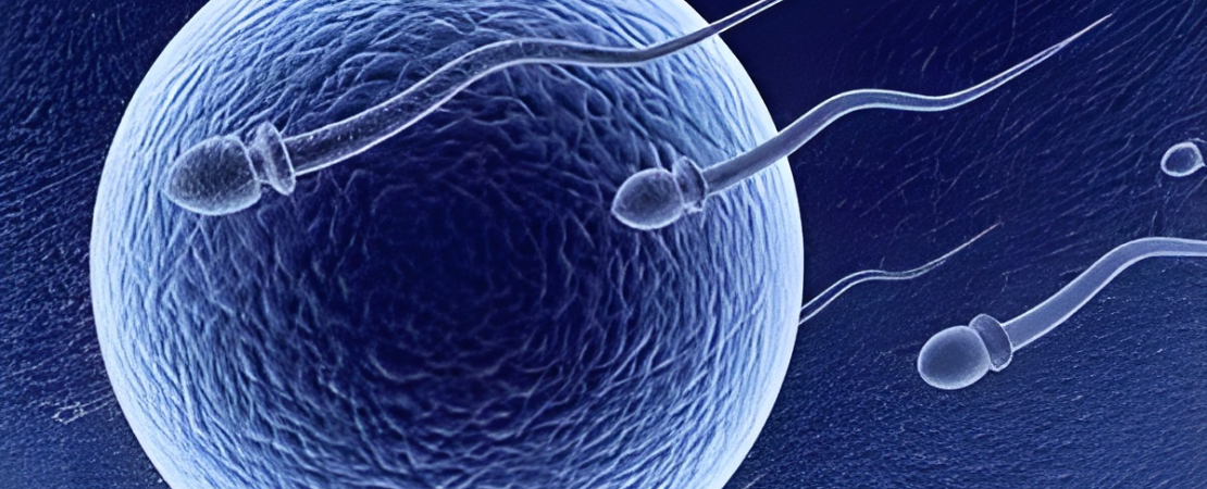 infertility